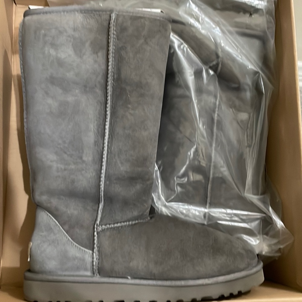 Classic Tall Grey Uggs. Only worn in the house they never made it outside.